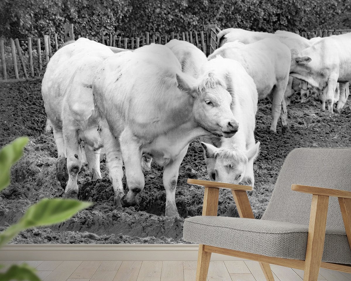 Raumvorschau