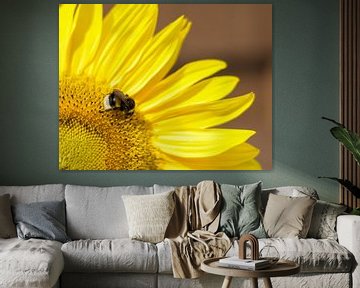 Sonnenblume mit einer hungrigen Hummel von Talitha Blok