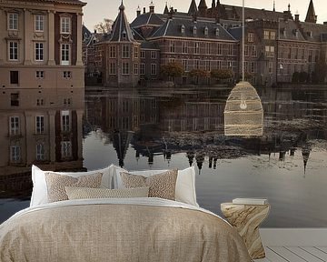 swans in The Hague's Hofvijver by gaps photography