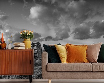 Sunset at polderscape Black & White by André Hamerpagt