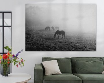 Pferde im Morgennebel von Dirk Wüstenhagen
