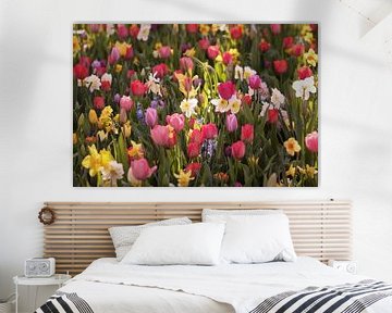Frühlingsblumen im Morgenlicht von Karel Ham