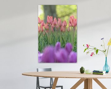 Tulpen in einem schönen frischen Strauß von Karel Ham