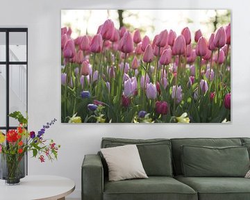 Tulipes avec rosée sur Karel Ham