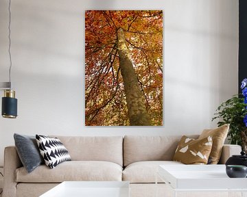 Baum in Herbstfarben | Baum im Herbst von Art Pictures by  Lotte