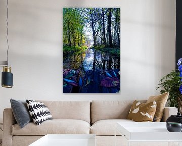 Bos, landschapsfotografie