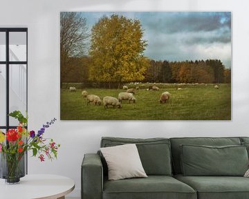 Flock of sheep in autumn by Dieter Beselt