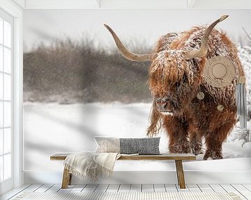 Taureau écossais highlander dans la neige sur Richard Guijt Photography