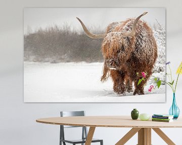 Schottischer Highlander-Stier im Schnee von Richard Guijt Photography