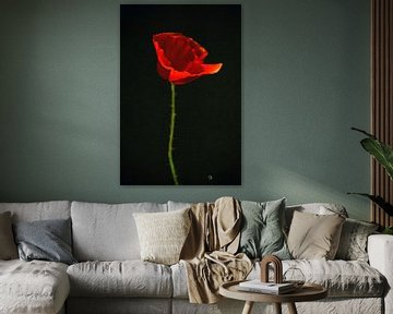 Peinture de coquelicot - Coquelicot rouge