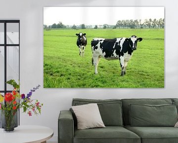 Twee koeien van Merijn van der Vliet