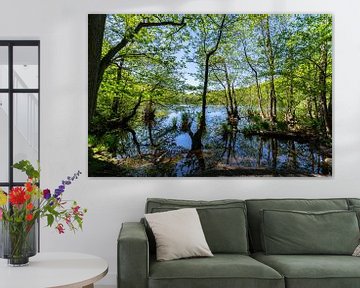 Lac Hertha dans le parc national de Jasmund, île de Rügen