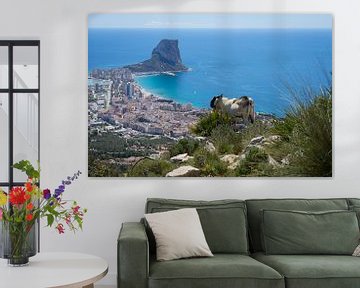 Mannelijke geit kijkt naar Calpe en de Middellandse Zee