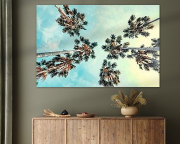 Palmbomen van Manjik Pictures