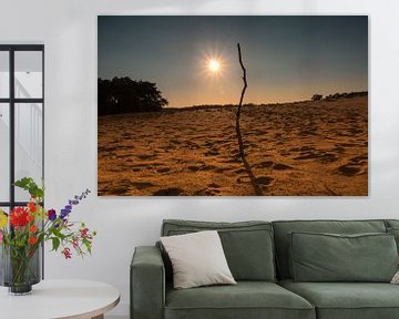 Gouden uur bij zandverstuiving Wekeromse Zand