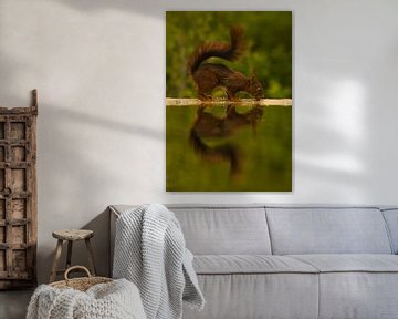 Eekhoorn weerspiegeld in het water. van Wouter Van der Zwan