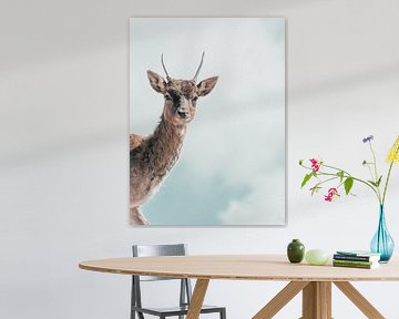 Hello, my deer by Colin Bax