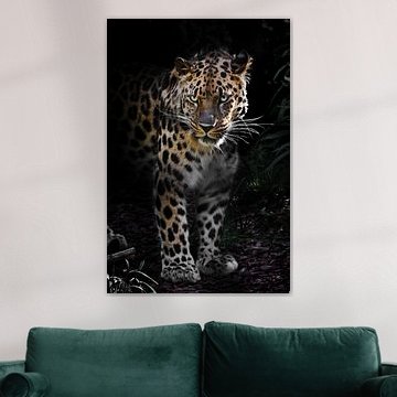 Far Eastern, Amur leopard in the night forest Lost thicket of the forest powerful animal in front of by Michael Semenov