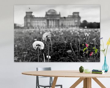 Dandelions in front of the Reichstag building by Frank Herrmann