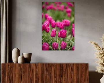 Lila Tulpen in einem Blumenfeld | Fine Art Naturfoto | Botanische Kunst von Karijn | Fine art Natuur en Reis Fotografie