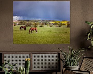 Paarden in een weide met onweerswolken van Animaflora PicsStock