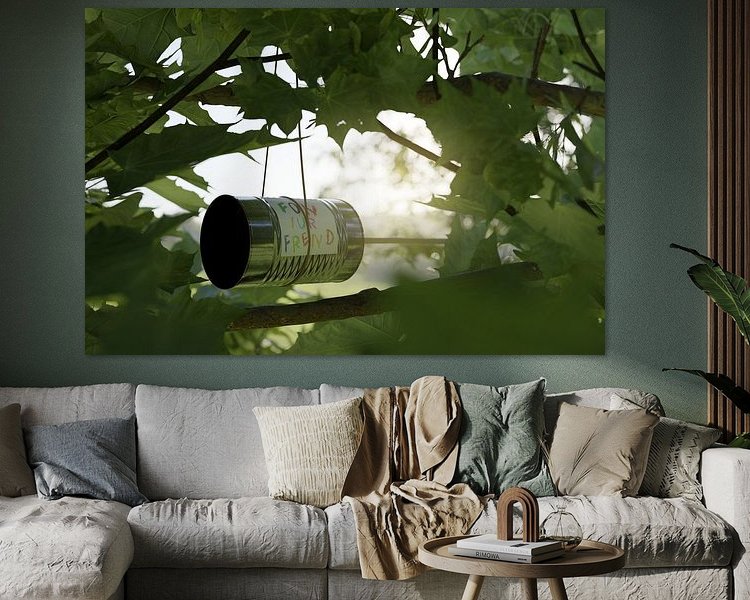 Aperçu de la chambre