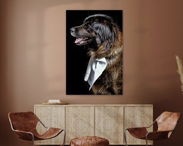 Hond - Leeuwenberger at Diner van Christine Vesters Fotografie
