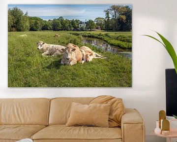 Herkauwende koeien in een Nederlands landschap van Ruud Morijn