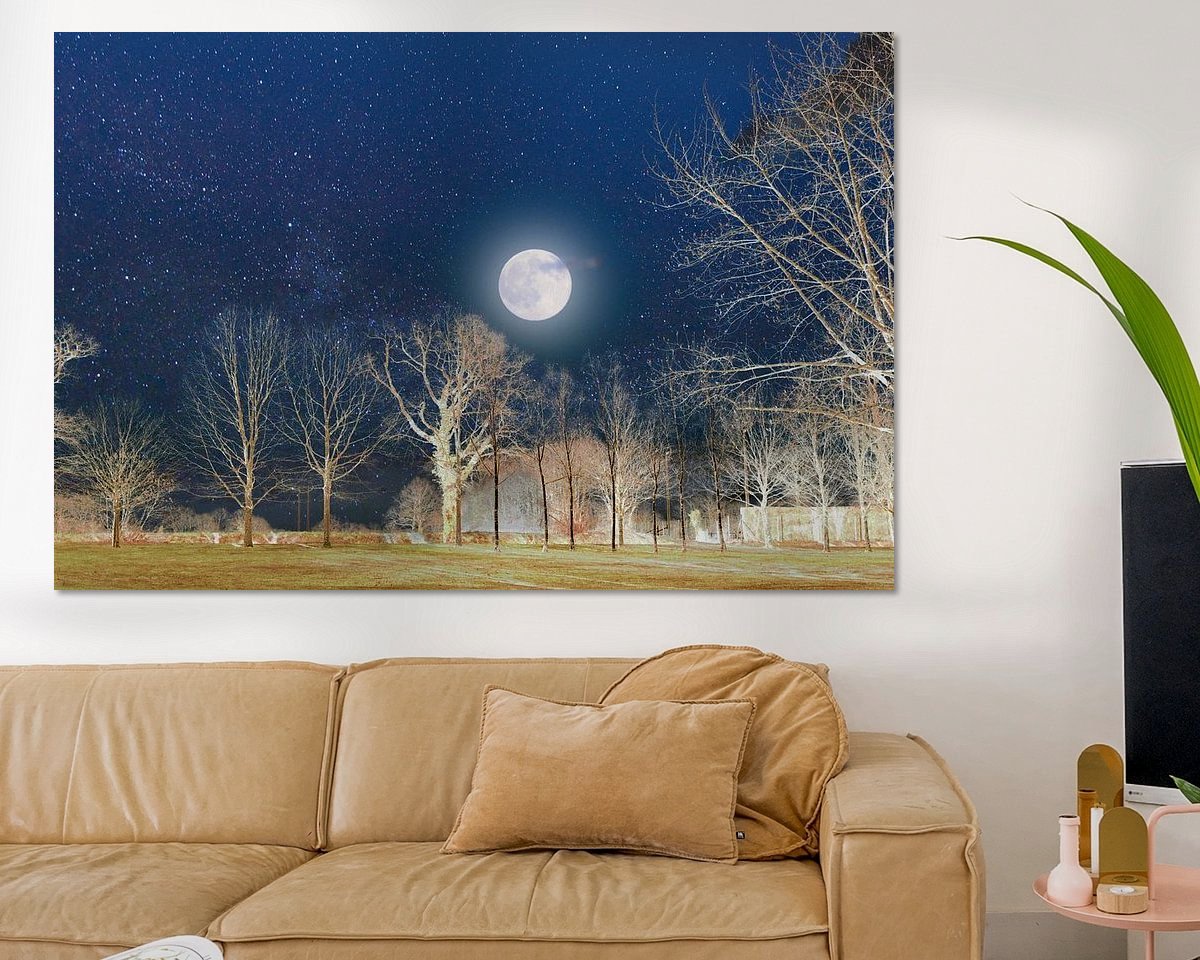 Raumvorschau