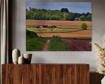Paardenboerderij