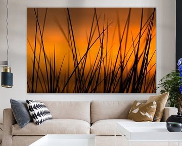 Sonnenuntergang in den Dünen von Vincent van Kooten
