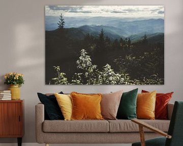 Smoky Mountain National Park Landschap, Nature Magick  van PI Creative Art