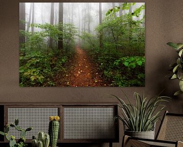 Forest Trail Smoky Mountains, Nature Magick  von PI Creative Art