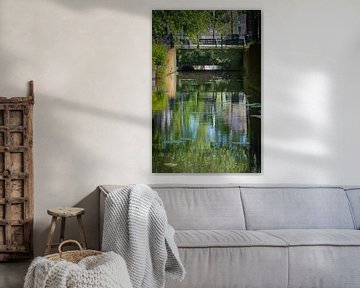 Waterlilies - Zwarte Water canal - Utrecht by Coen Koppen