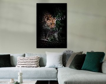 der fernöstliche Amurleopard taucht aus dem Nachtwald auf, Dunkelheit und Grünzeug von Michael Semenov