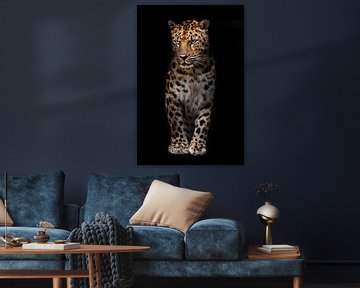 Slender big cat leopard is standing straight and looking inquiringly in the dark isolated black back by Michael Semenov