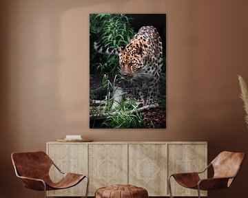 een gevaarlijke zeldzame luipaard uit het Verre Oosten komt uit het bos, helder groen van Michael Semenov