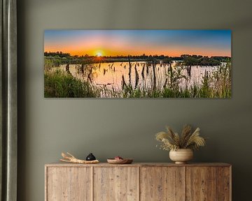 Panorama of a sunset in national park De Alde Feanen