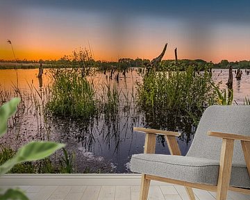 Sunset in national park De Alde Feanen by Henk Meijer Photography