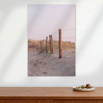 Beachcombing in the dunes I Bloemendaal, Noord-Holland I Pastel colors I Photography