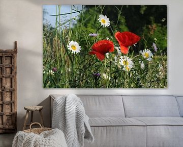 wilde bloemen von louisa fijn