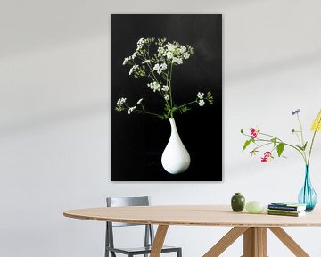 Kuh-Petersilie in einer weißen Vase von Karin Riethoven