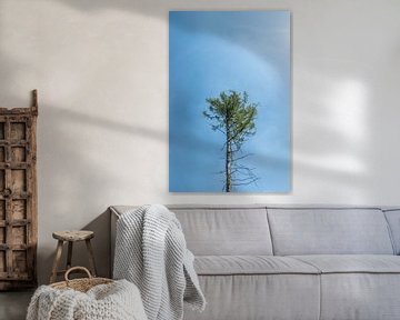 solitary tree against a blue sky by Patrick Verhoef