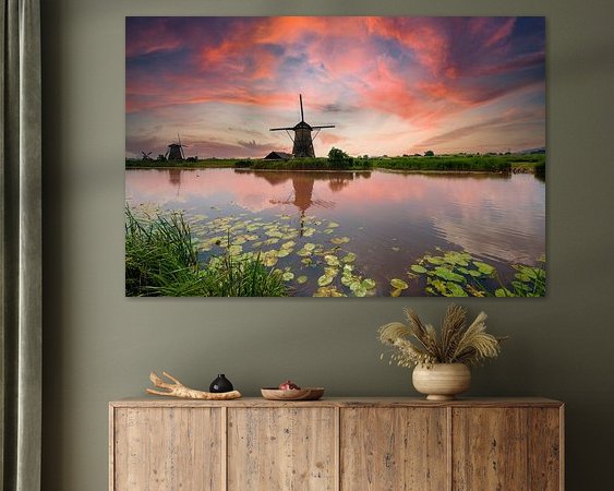 Aperçu de la chambre