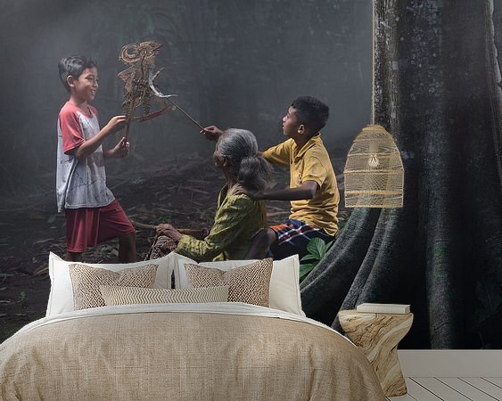 Aperçu de la chambre