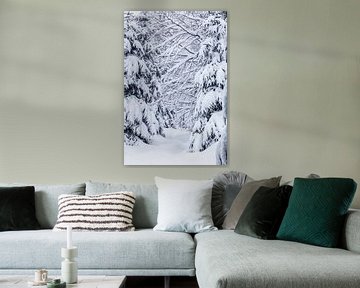 Winter in het Beierse Woud van Dirk Rüter