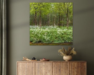 Noorderbos in bloei van Henri Boer Fotografie