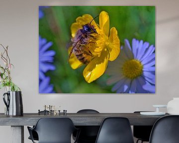 Abeille sur la fleur