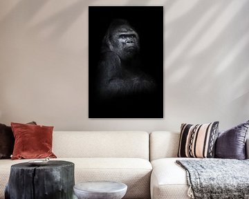 Een machtige ontevreden mannelijke gorilla zit half omgedraaid over een machtige schouder en arm