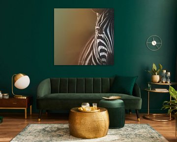 Regenboog Zebra van Melanie Delamare